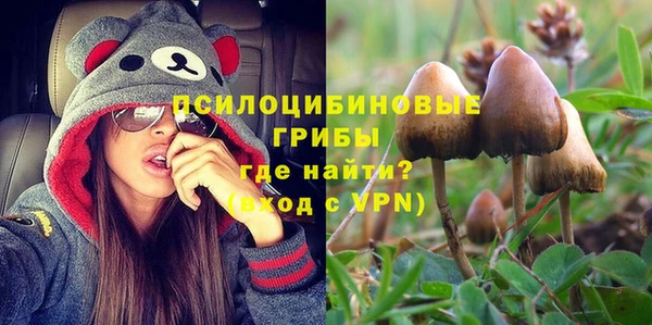 a pvp Алексин