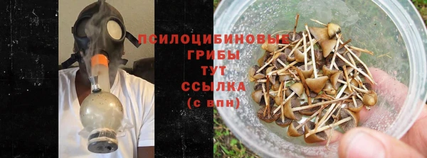 мяу мяу мука Алексеевка