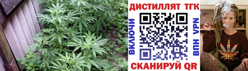 Дистиллят ТГК вейп с тгк  Яровое 